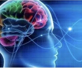 Settimana Mondiale del Cervello Settimana Mondiale del Cervello